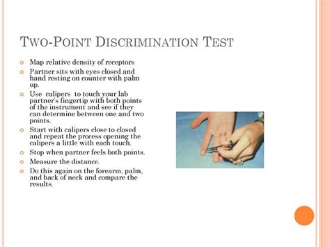 2 point test|two point discrimination wikipedia.